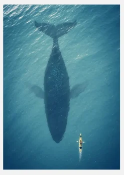 A Big Whale Canvastavla (30x40 cm)