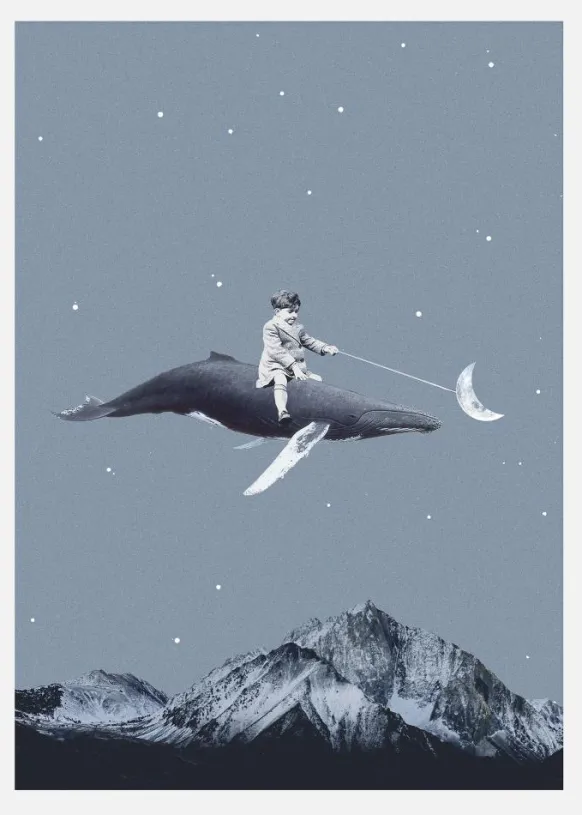 Aim For The Moon Canvastavla (30x40 cm)