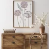 Allium Poster (21x29.7 cm (A4))