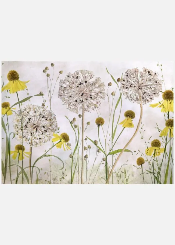 Alliums And Heleniums Canvastavla (30x40 cm)