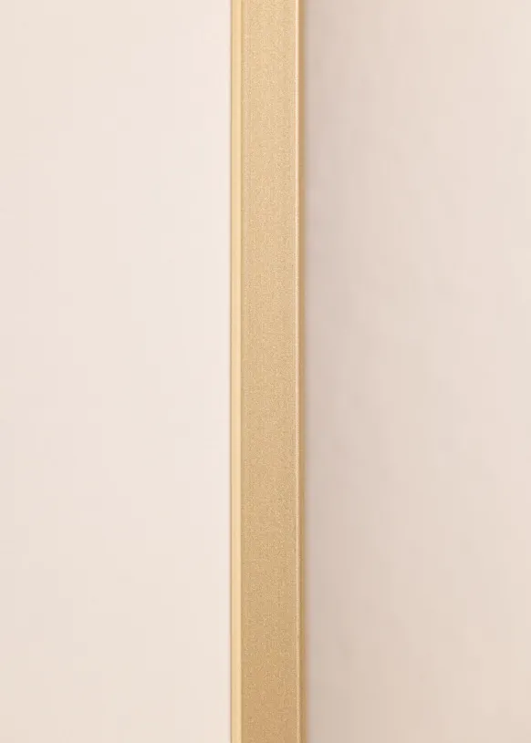 Aluminiumram Mässing 42x59,4 cm (A2)