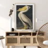 American White Pelican Poster (21x29.7 cm (A4))