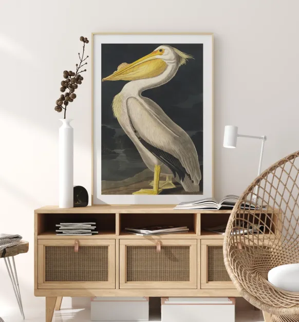 American White Pelican Poster (21x29.7 cm (A4))
