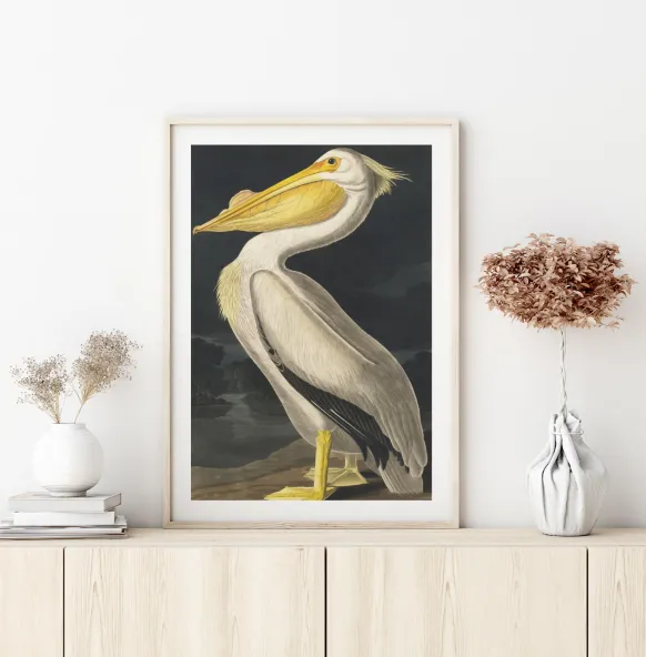 American White Pelican Poster (21x29.7 cm (A4))