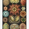 Animalium Canvastavla (30x40 cm)
