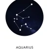 Aquarius Poster (21x29.7 cm (A4))