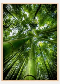 ARASHIYAMA Poster (21x29.7 cm (A4))