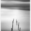As Time Goes By Canvastavla (30x40 cm)