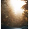 Autumn Misty Road Canvastavla (30x40 cm)