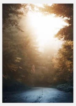 Autumn Misty Road Canvastavla (30x40 cm)
