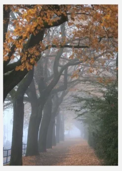 Autum Stroll Canvastavla (30x40 cm)