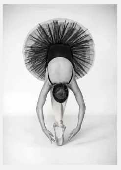 Ballet Technique Canvastavla (30x40 cm)