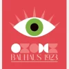 Bauhaus Goz Canvastavla (30x40 cm)