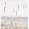 Beach Vass 001 Canvastavla (30x40 cm)