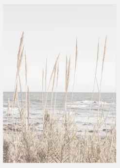 Beach Vass 001 Canvastavla (30x40 cm)