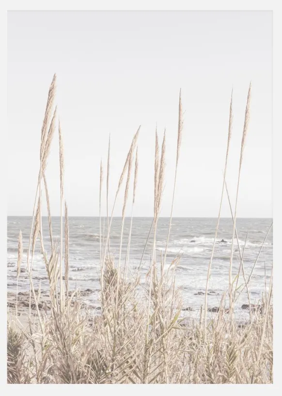 Beach Vass 001 Canvastavla (30x40 cm)