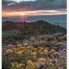 Beautiful Sunset Canvastavla (30x40 cm)