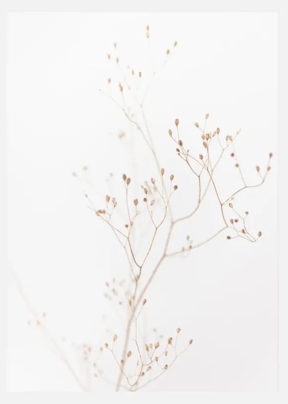 Beige Straws Canvastavla (30x40 cm)