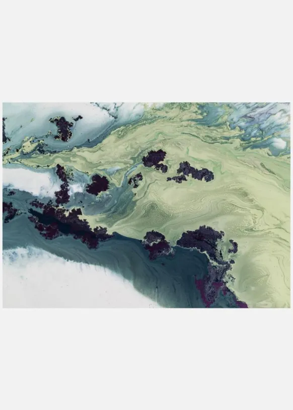 Best Sellers - Untouched Estuaries Canvastavla (30x40 cm)