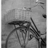 Bicycle Basket Canvastavla (30x40 cm)