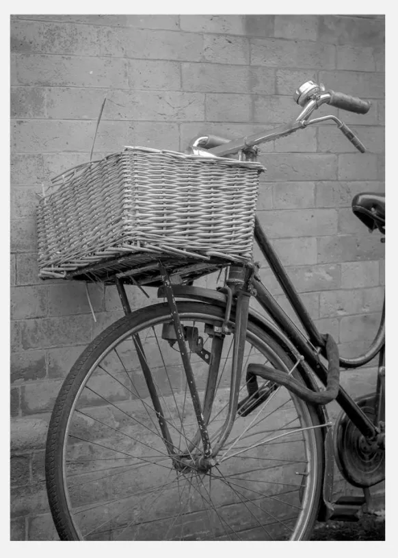 Bicycle Basket Canvastavla (30x40 cm)