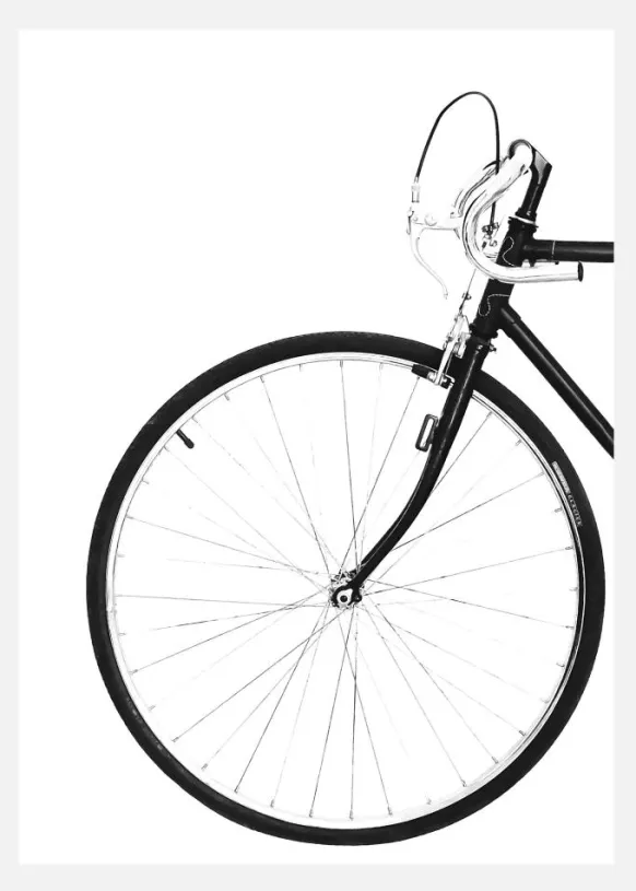 Bicycle Canvastavla (30x40 cm)