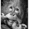 Big Smile.....please Canvastavla (30x40 cm)