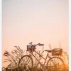 Bike Ride In The Sunset Canvastavla (30x40 cm)
