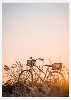 Bike Ride In The Sunset Canvastavla (30x40 cm)
