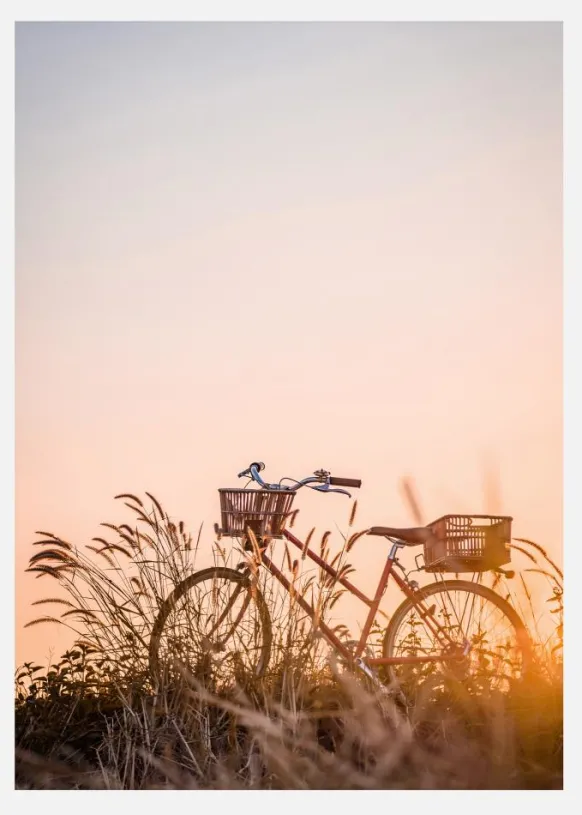 Bike Ride In The Sunset Canvastavla (30x40 cm)