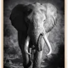 Black and White Elephant Poster (21x29.7 cm (A4))