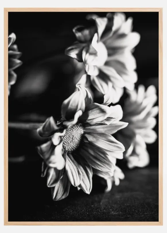 Black and White Flowers Poster (21x29.7 cm (A4))