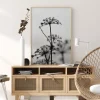 Black And White Flowers Poster (21x29.7 cm (A4))