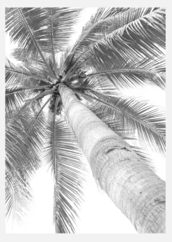 Black And White Palmtree Canvastavla (30x40 cm)