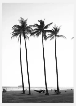 Black And White Palm Trees Canvastavla (30x40 cm)