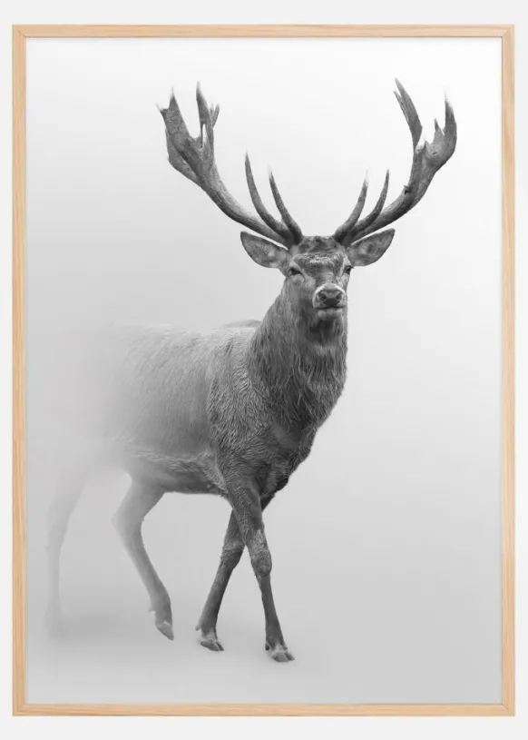 Black and white Red deer Poster (21x29.7 cm (A4))