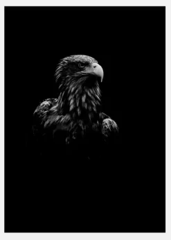 Black Eagle Canvastavla (30x40 cm)