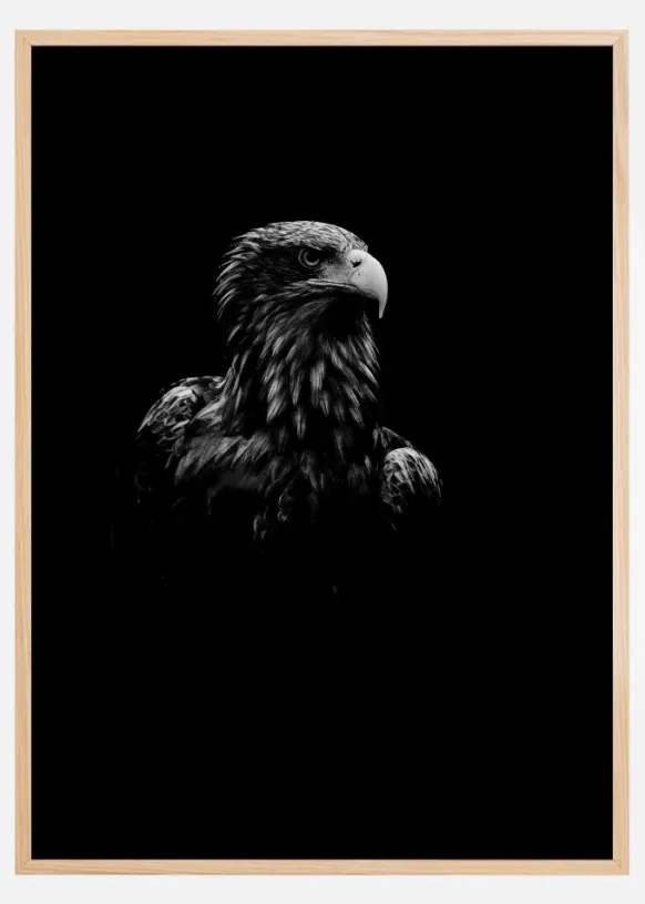 Black Eagle Poster (21x29.7 cm (A4))