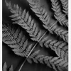 Black Fern Canvastavla (30x40 cm)