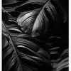 Black Leaves Canvastavla (30x40 cm)