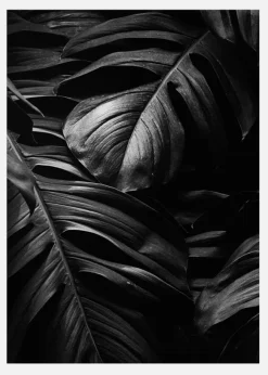 Black Leaves Canvastavla (30x40 cm)