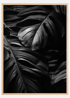 Black Leaves Poster (21x29.7 cm (A4))