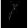 Black Moose Canvastavla (30x40 cm)