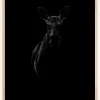 Black Moose Poster (21x29.7 cm (A4))