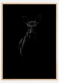 Black Moose Poster (21x29.7 cm (A4))