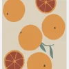 Blood Orange Canvastavla (30x40 cm)