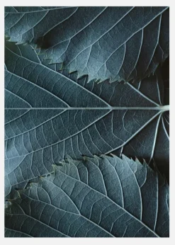 Blue Leaves Canvastavla (30x40 cm)