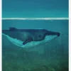 Blue Whale Canvastavla (30x40 cm)