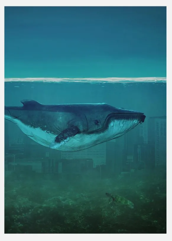 Blue Whale Canvastavla (30x40 cm)
