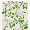 Boho Citrus Aurantifolia Canvastavla (30x40 cm)